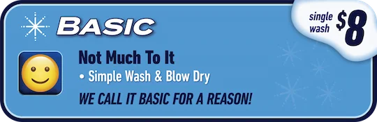Basic - Simple Wash & Blow Dry - Single wash $8